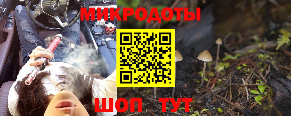 Галлюциногенные грибы Psilocybine cubensis Белая Калитва