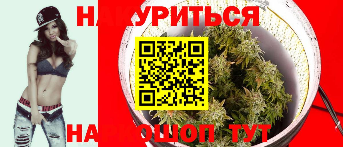 Конопля план  Вход с VPN  Конопля White Widow  Шишки марихуана Bruce Banner  Белая Калитва 